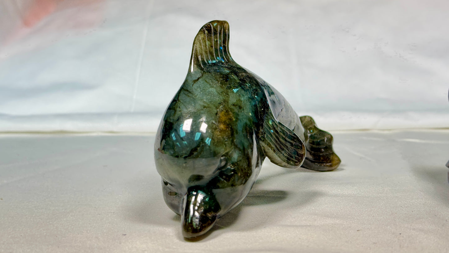 Gemstone Labradorite Dolphin Sculpture, Hand Carved Carving