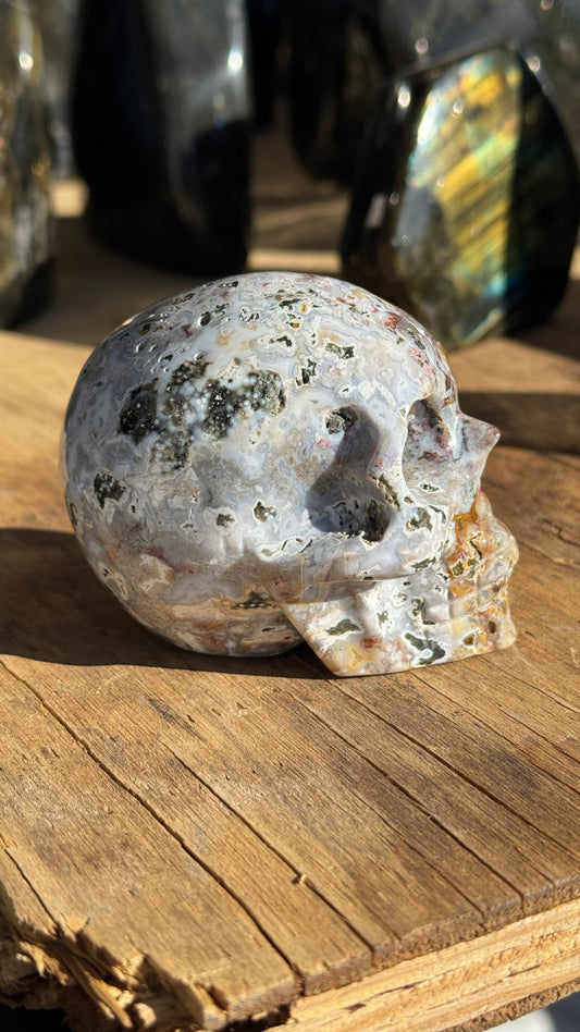 Stone Skull, Ocean Jasper, 83mm