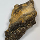 Hundred-Million-Year Crystalized Alabama Petrified Wood, Gemstone Specimen