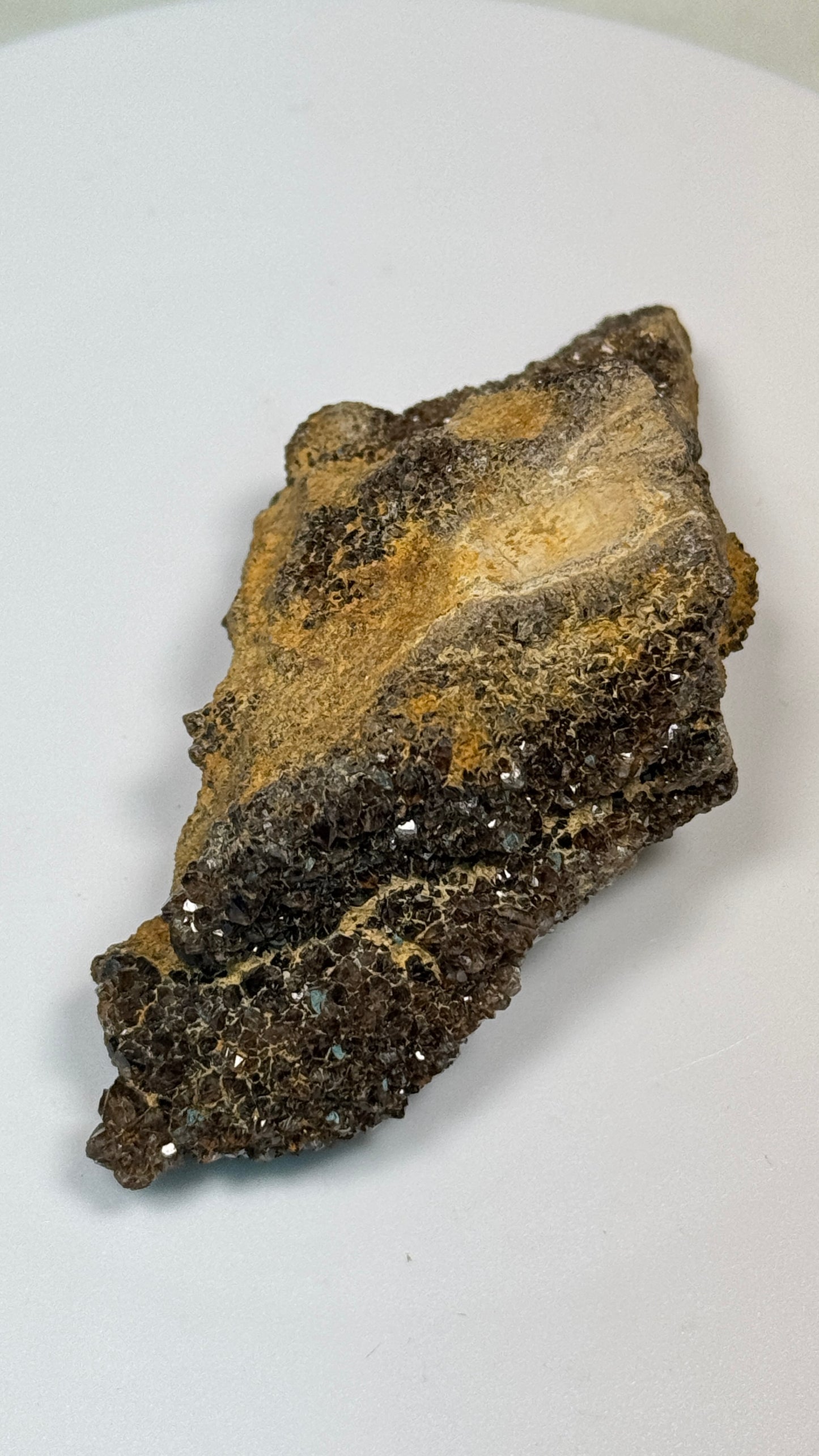 Hundred-Million-Year Crystalized Alabama Petrified Wood, Gemstone Specimen