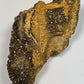 Hundred-Million-Year Crystalized Alabama Petrified Wood, Gemstone Specimen