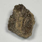 Hundred-Million-Year Crystalized Alabama Petrified Wood, Gemstone Specimen