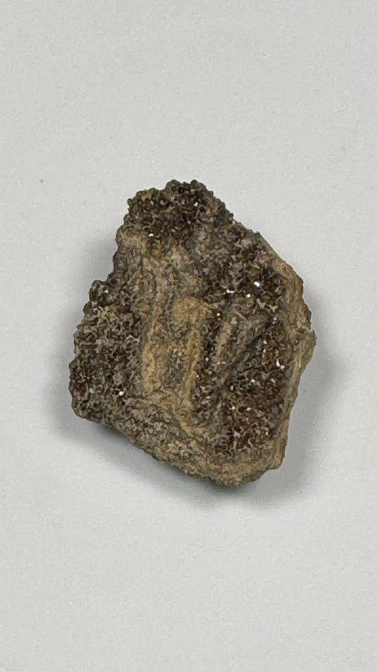 Hundred-Million-Year Crystalized Alabama Petrified Wood, Gemstone Specimen