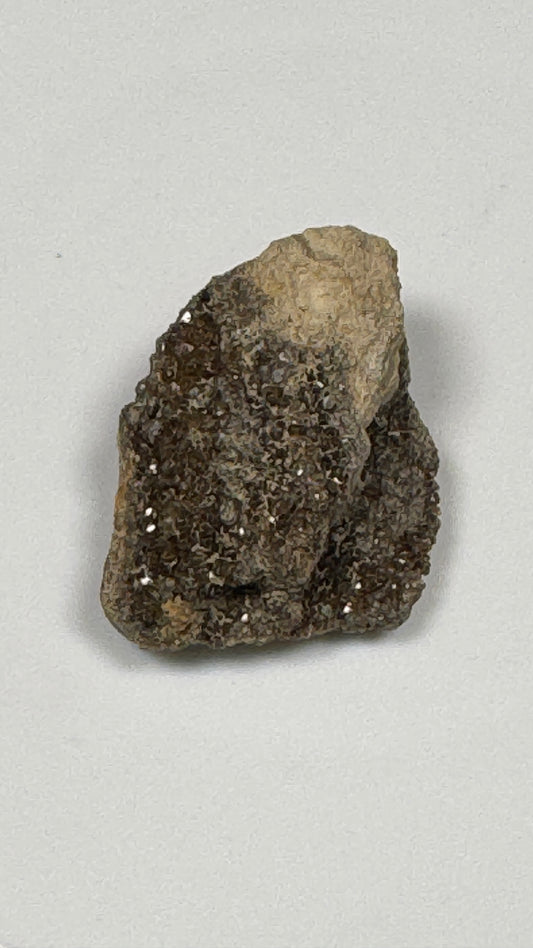 Hundred-Million-Year Crystalized Alabama Petrified Wood, Gemstone Specimen