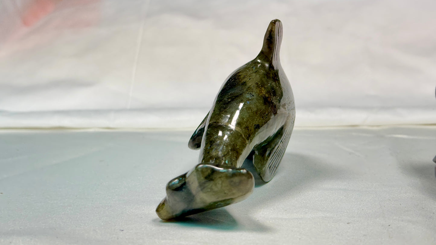 Gemstone Labradorite Dolphin  Sculpture, Hand Carved Carving