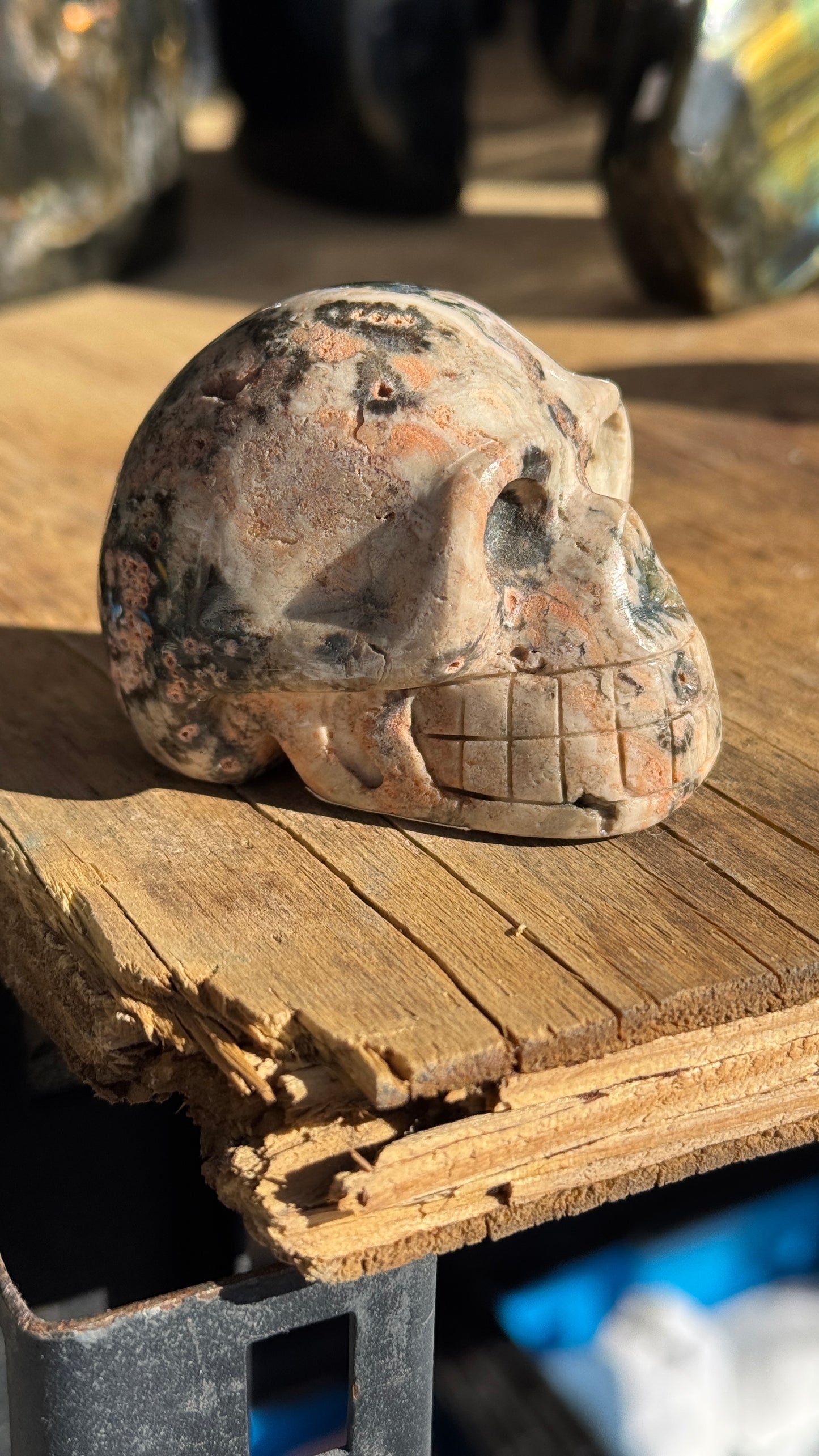 Stone Skull, Ocean Jasper, 68mm