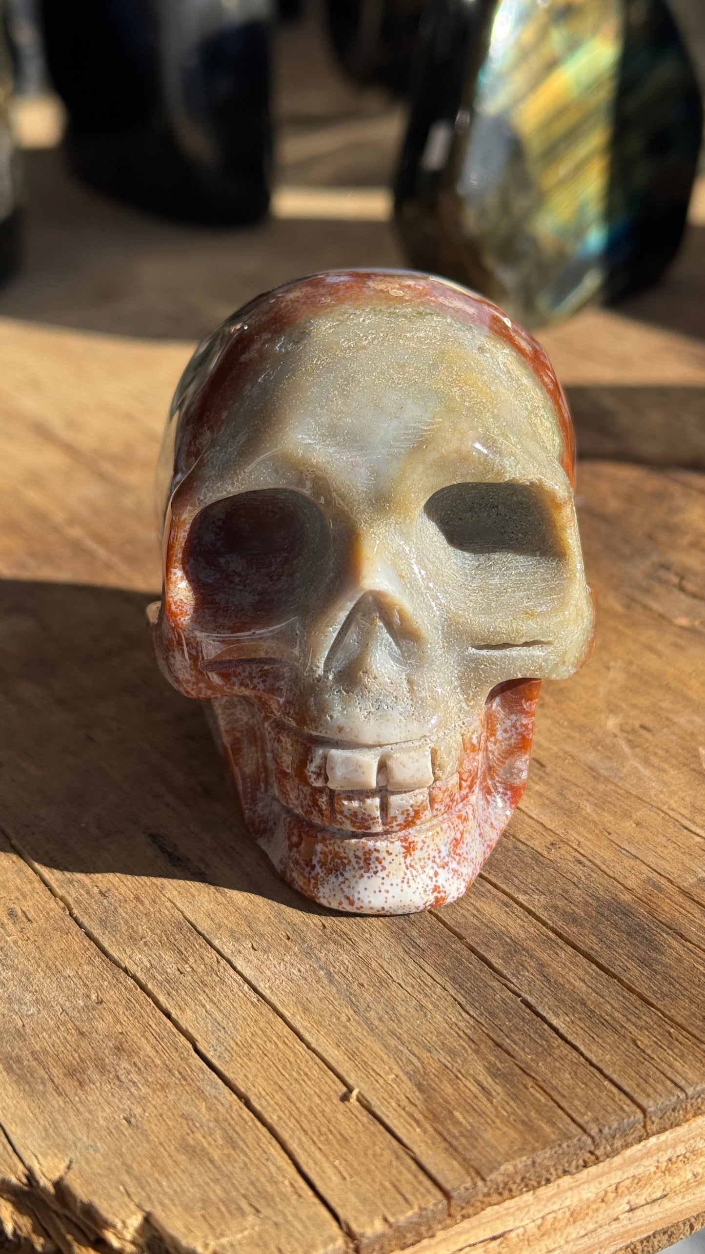 Stone Skull, Ocean Jasper, 75mm