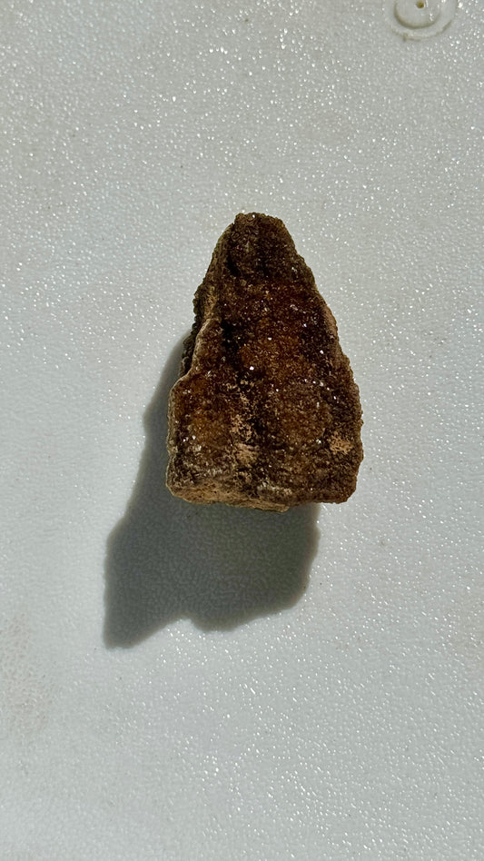 Hundred-Million-Year Crystalized Alabama Petrified Wood