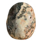 Stone Skull, Ocean Jasper, 68mm