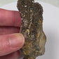 Hundred-Million-Year Crystalized Alabama Petrified Wood, Gemstone Specimen