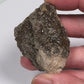 Hundred-Million-Year Crystalized Alabama Petrified Wood, Gemstone Specimen